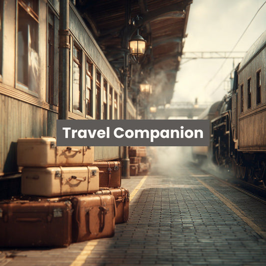 Travel Companion